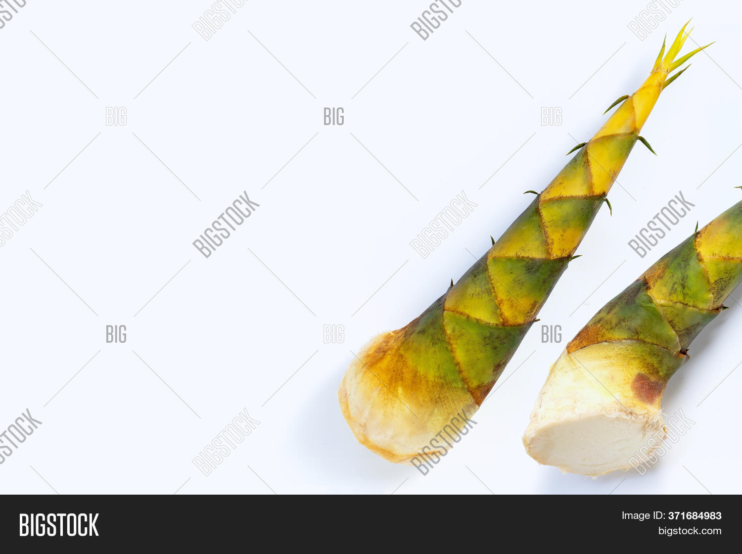 Fresh Bamboo Shoots On Image & Photo (Free Trial) Bigstock