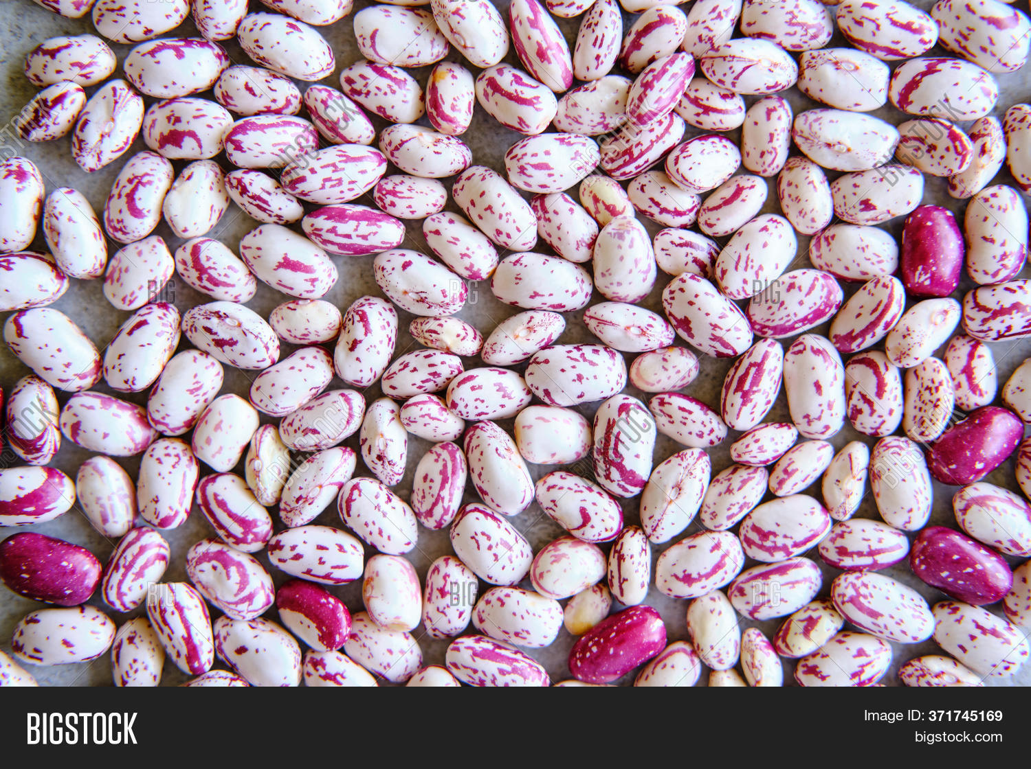 Harvested Pinto Beans Image & Photo (Free Trial) Bigstock