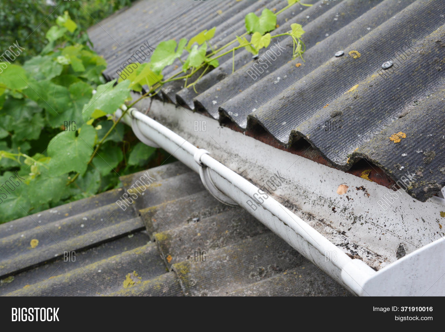 Plastic Rain Gutter On Image & Photo (Free Trial) Bigstock