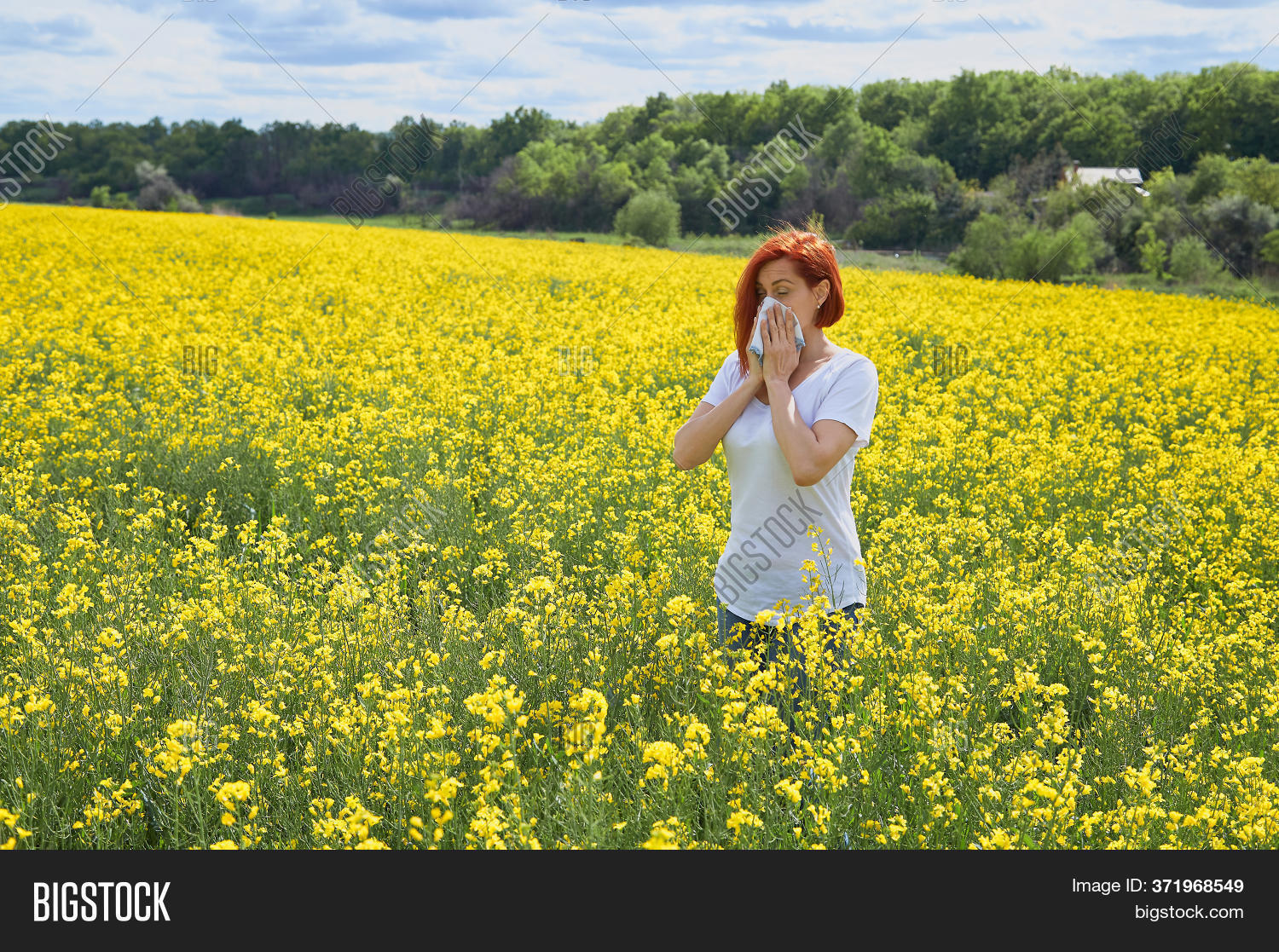 Allergic Pollen Image & Photo (Free Trial) Bigstock