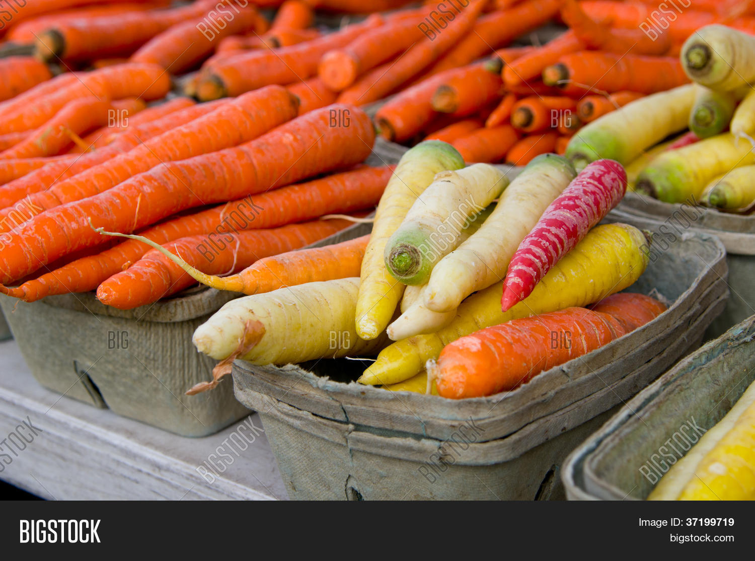 Rainbow Carrots Image & Photo (Free Trial) Bigstock