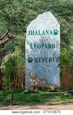Jaipur , Rajasthan / India - 9 June 2020 : Rock Written With Jhalana Leopard Reserve Also In The Bot