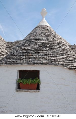 Trullo střešní okna a rostlin