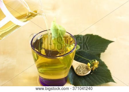 Glass Teapot And Cup Of Linden Tea. Healthy Tea. Herbal And Natural Hot Drink. Leaves Of Lime Trees,