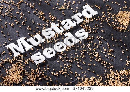 Yellow Mustard Seeds - Sinapis Alba. Text Space