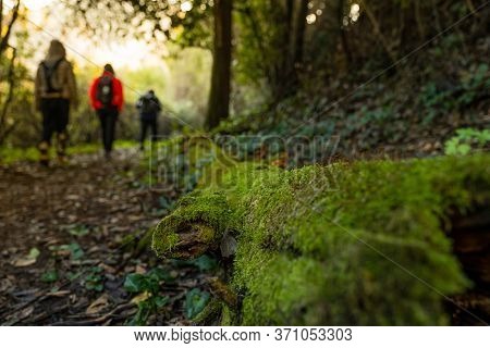 Ripafratta, Italy - January 06, 2020:  Unknown People During Trekking In The Medieval Village Of Rip