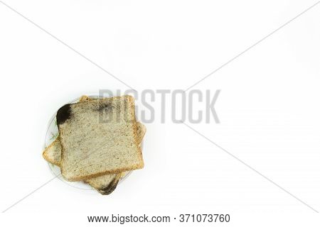 Two Square Slices Of Bread Placed On A Fungal Infection Plate, On Isolated White Background.