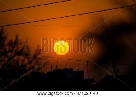 Sun Behind Neem Tree. Azadirachta Indica, Commonly Known As Neem, Nimtree Or Indian Lilac.