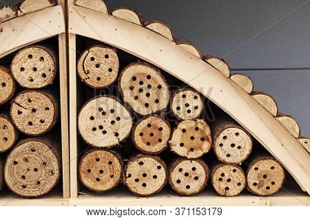 Part Of An Insect Hotel At Grubbe Greenhouse