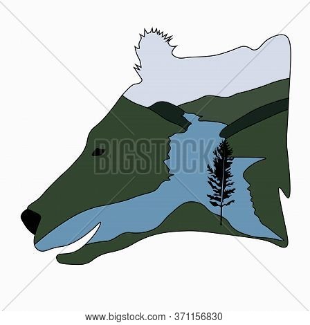 Vector Stock Illustration Of A Bear. The Head Of The Predator. Forest River Journey. Template For T-