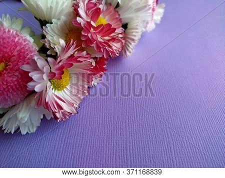 Wreath Of Daisies On A Lilac Background. Selective Focus