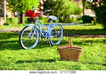 Picnic Time. Nature Cycling Tour. Retro Bicycle With Picnic Basket. Bike Rental Shops Primarily Serv