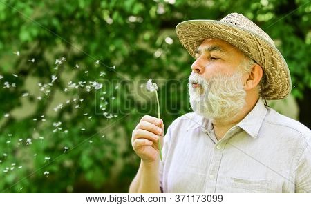 Peacefulness. Tranquility And Serenity. Happy And Carefree Retirement. Lonely Grandpa Blowing Dandel
