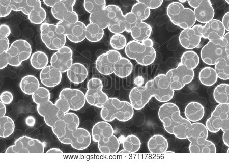 Amazing Design Huge Amount Of Bio Cells Computer Graphics Texture Illustration