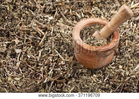 Phyllanthus Niruri - Stone Chanca. Wood Mortar