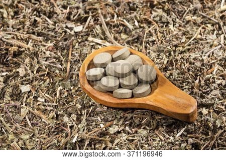 Phyllanthus Niruri - Stone Chanca. To Eliminate Kidney Stones And Fight Hypertension