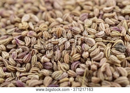 Macro Image Of Ajwain Also Know As Ajowan, Caraway Or Trachyspermum Ammi
