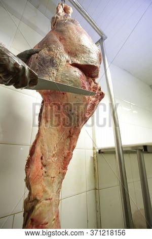Salvador, Bahia / Brazil - March 17, 2017: Butcher Is Seen Handling Piece Of Beef In Butcher Shop In