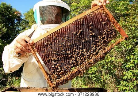 Eunapolis, Bahia / Brazil - May 11, 2009: Beekeeper Is Seen Next To The Bee Hive In The City Of Euna