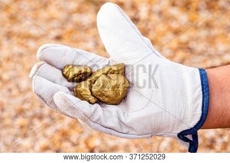 Miner Hand Holding Stones From Another, Gold Mineral Extraction, Precious Stone Exploration Concept.