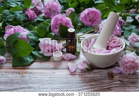 Flower Composition. Flowers And Leaves Of Rosehip (rosa Majalis Herrm), Petals In A Mortar With A Pe