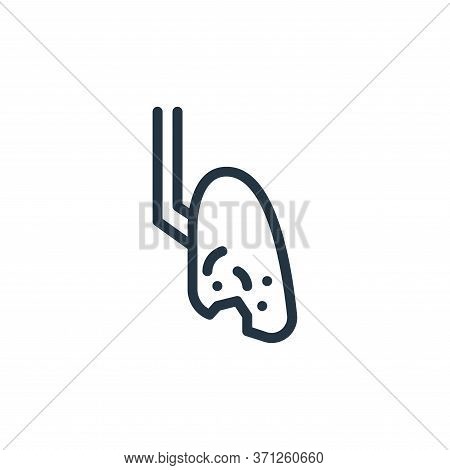 Lung Vector Icon. Lung Editable Stroke. Lung Linear Symbol For Use On Web And Mobile Apps, Logo, Pri