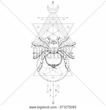 Vector Illustration With Hand Drawn Spider Tarantula And Sacred Geometric Symbol On White Background