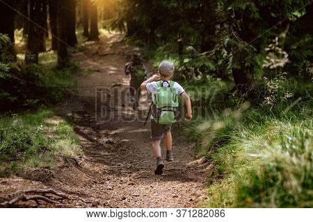 Group Of Young Kids Having Fun While Treeking In Carpathian Mountains