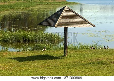 Orekhovoe Lake Outside The City Gorodok, Vitebsk Region