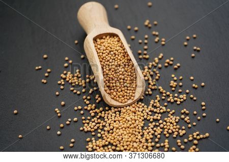 Mustard Seeds Granum Sinapis And A Wooden Spoon