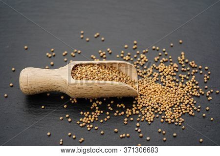 Mustard Seeds Granum Sinapis And A Wooden Spoon