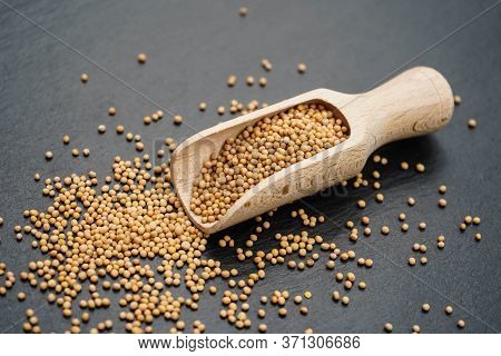 Mustard Seeds Granum Sinapis And A Wooden Spoon