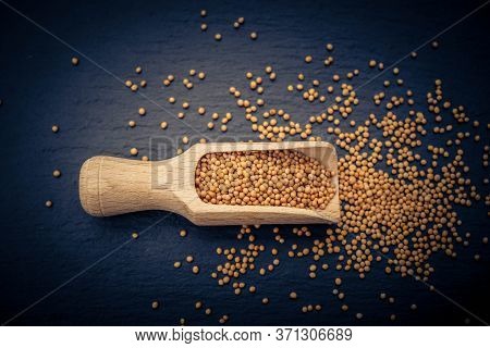 Mustard Seeds Granum Sinapis And A Wooden Spoon
