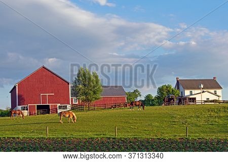 A View Of An Amish Farm In Lancaster County, Penna.