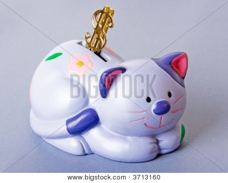 แมว-Moneybox กับดอลลาร์