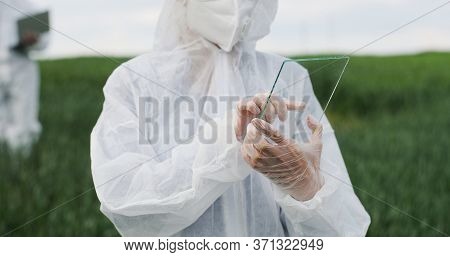 Close Up Of Female Farmer Ecologist In Protective Suit Tapping On Glass Transparent Screen. Futurist