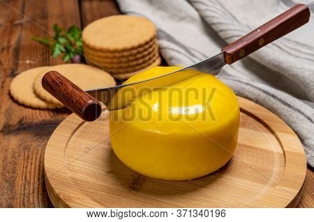 Dutch Baby Gouda Cheese In Yellow Wax