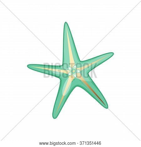 Green Golden Sea Shell Stock Vector Illustration Isolated On White Background