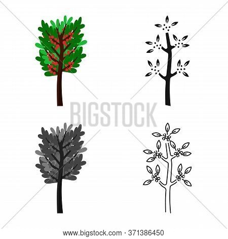 Vector Design Of Tree And Coffee Icon. Set Of Tree And Plant Stock Vector Illustration.