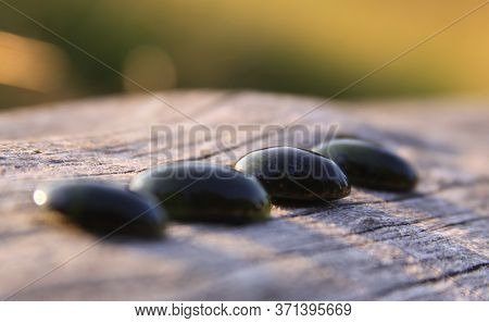 Black Jade Translucent Green Stone In Sunlight On Wood. The Black Jade Is Dark Green In Color, But U