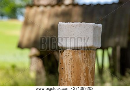 Wild Animal Lick On A Pasture Background. Feeding Place For Animals In The Forest.