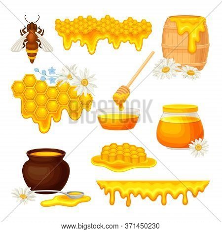Honey Omb With Hexagonal Wax Cells And Glass Jar Poured With Honey Vector Set