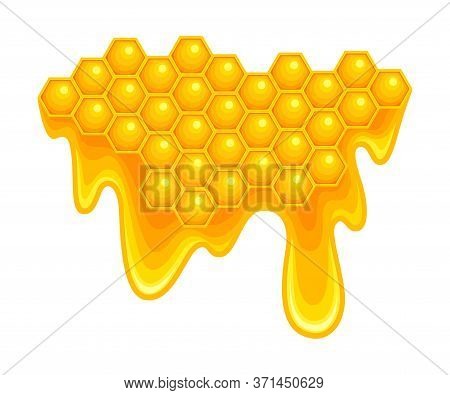 Honey Omb With Hexagonal Wax Cells And Flowing Down Sticky Liquid Vector Illustration