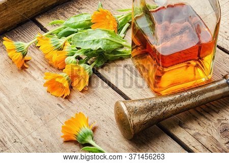 Calendula In Herbal Medicine
