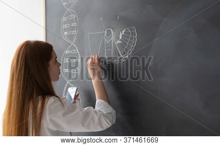 To Start The Biological Lesson, The Teacher Draws Explanatory Drawings On The Blackboard.
