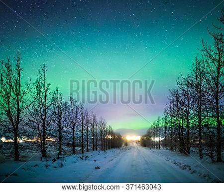 Northern Lights Aurora Borealis Over Frozen Trees And Snow Covered Road In Winter Of Iceland, Europe