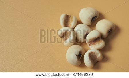 Job's Tears, Also Known As Adlay And Coix On White Background. Popular In Asian Cultures As A Food S