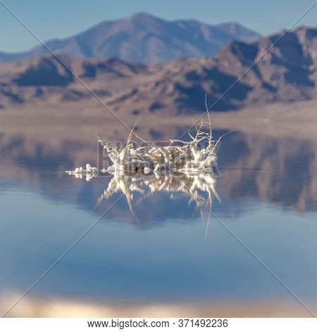 Square Salt Sculpture On Twigs At Bonnievale Salt Flats