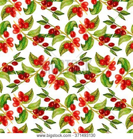 Watercolor Coffee Branch Seamless Pattern Isolated On White Background. Hand Painted Leaves, Flowers