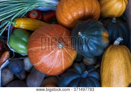 Fresh Organic Fruits And Vegetables Immedifresh Organic Fruits And Vegetables. Different Types Of Pu